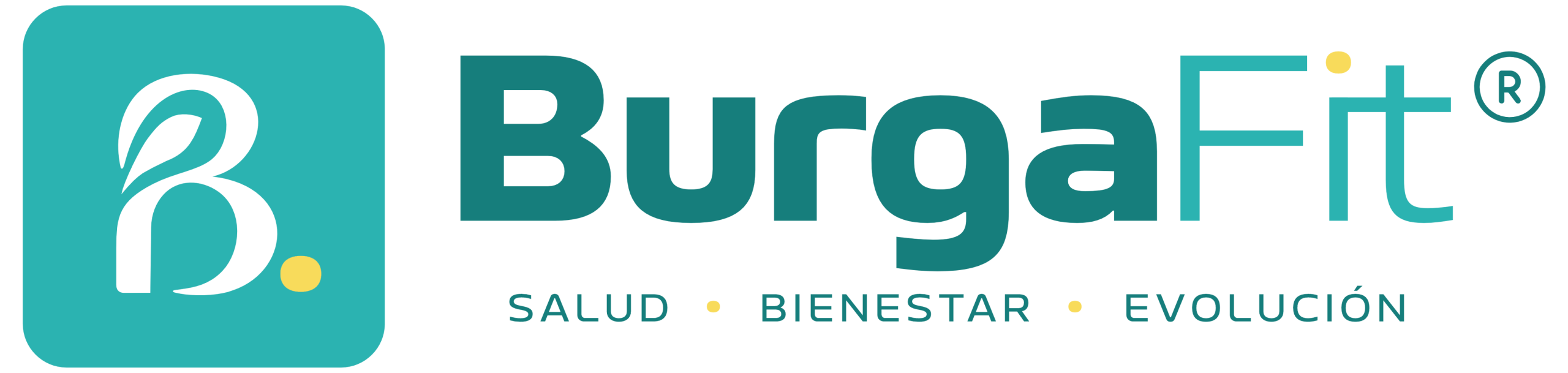 Burgafit®