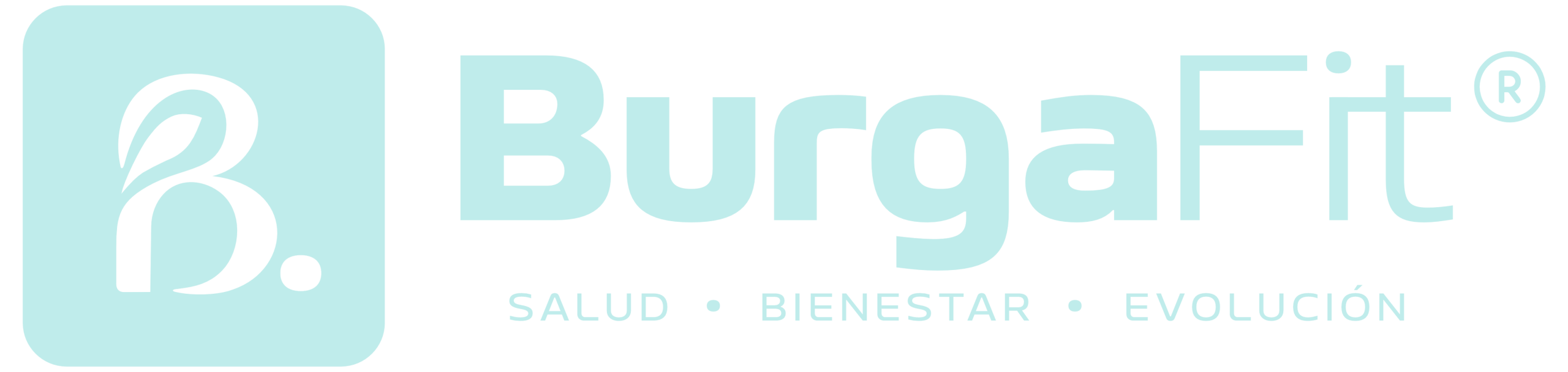 Burgafit®